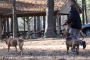IMG_0652